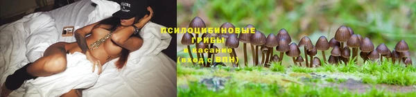 ешки Армянск