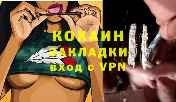 кокс Аркадак